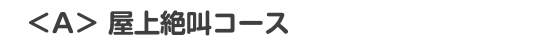 　＜A＞ 屋上絶叫コース 